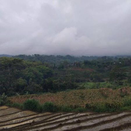 Puri Kahuripan Kediri  Luaran gambar